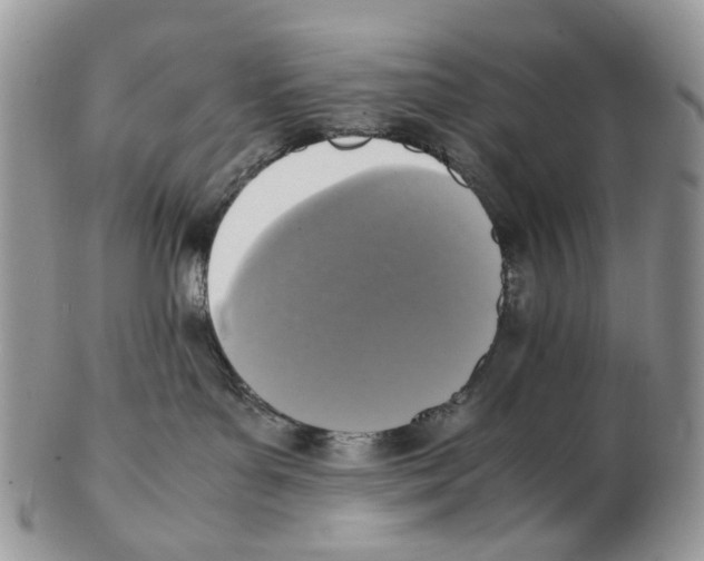 X0000102250143200808221401