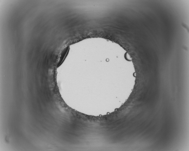 X0000102250144200808221401