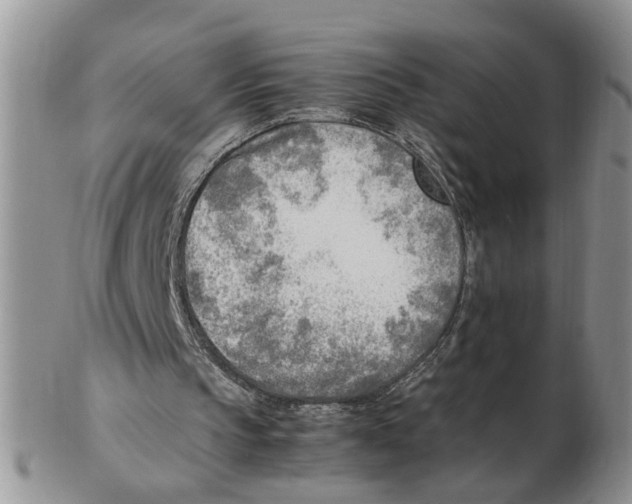X0000102250145200808221400