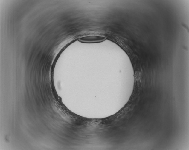 X0000102250148200808221400