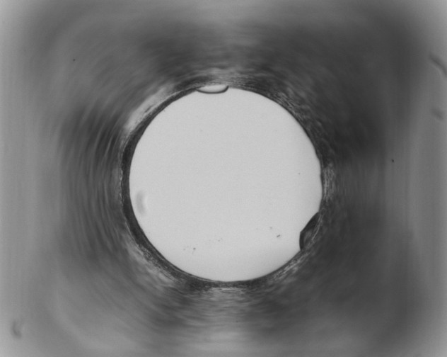 X0000102250150200808221400