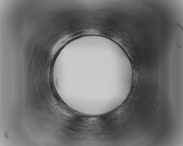 X0000102250151200808221400