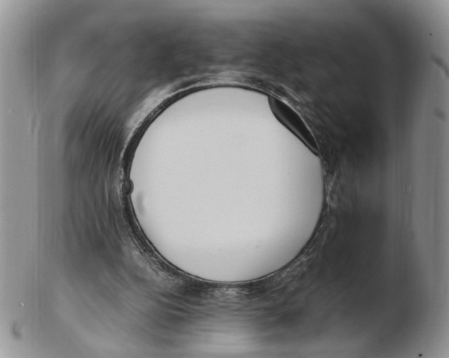 X0000102250152200808221400