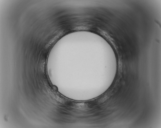 X0000102250153200808221400