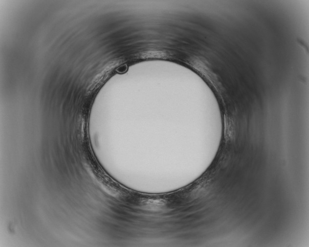 X0000102250157200808221400
