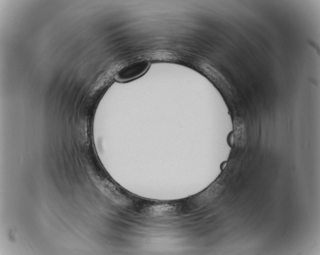X0000102250158200808221400