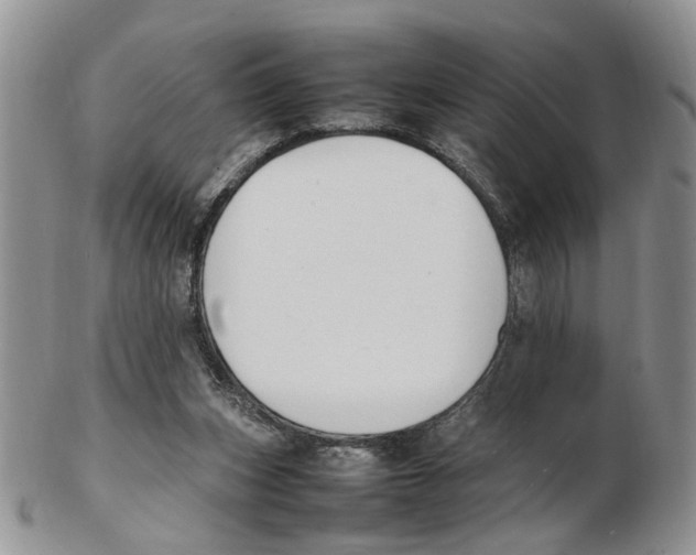 X0000102250159200808221400