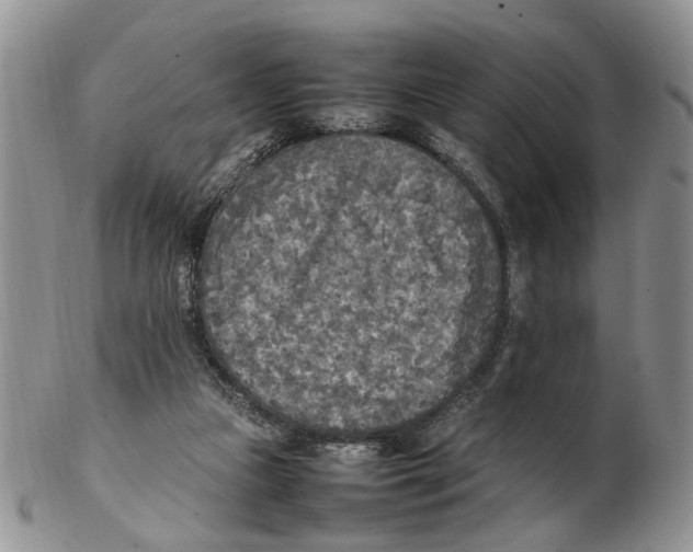 X0000102250161200808221401