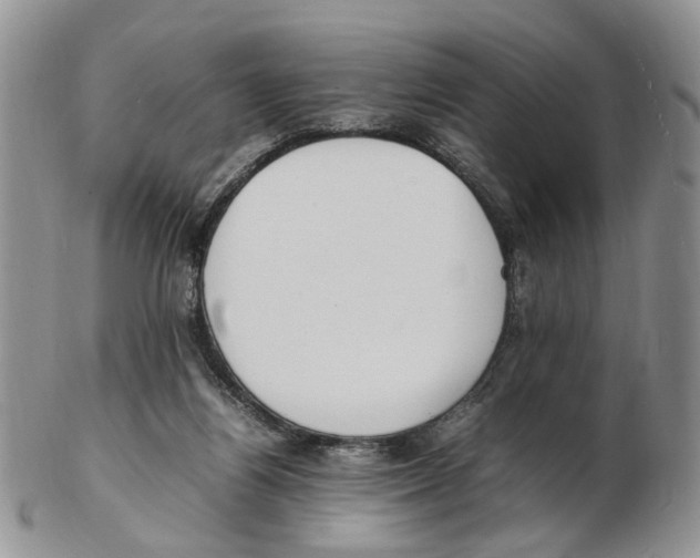 X0000102250164200808221401