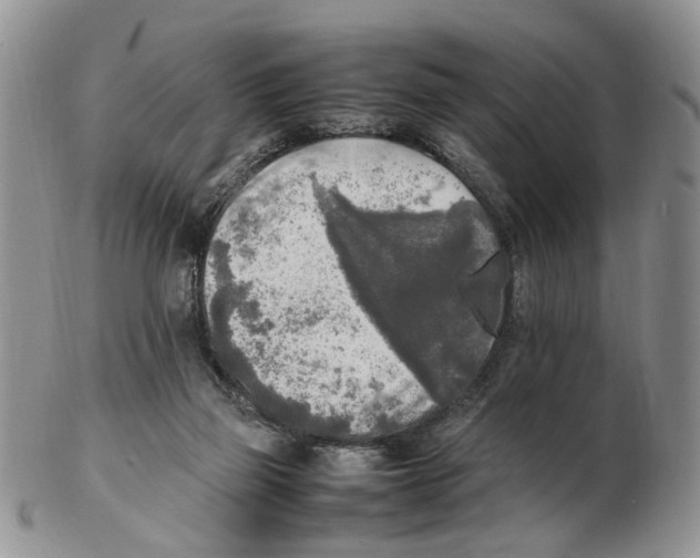 X0000102250165200808221401