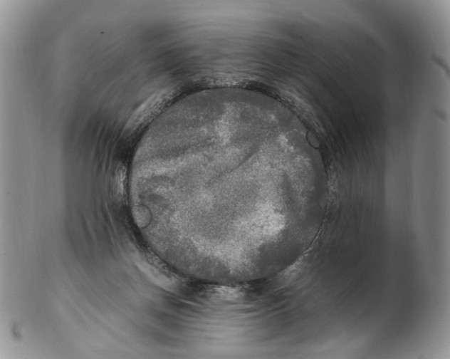 X0000102250166200808221401