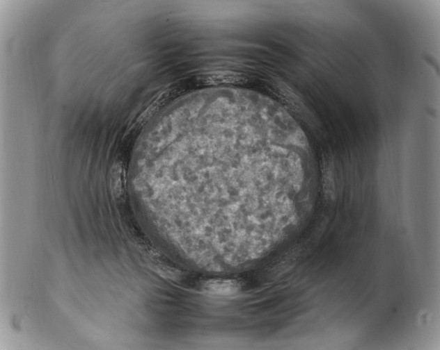 X0000102250169200808221401