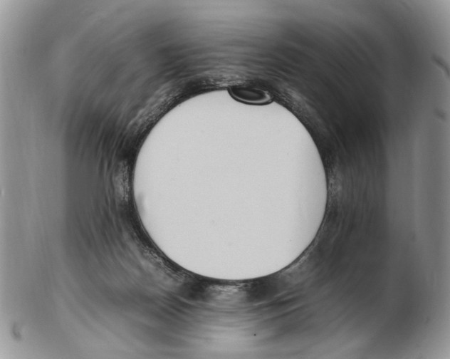 X0000102250170200808221401
