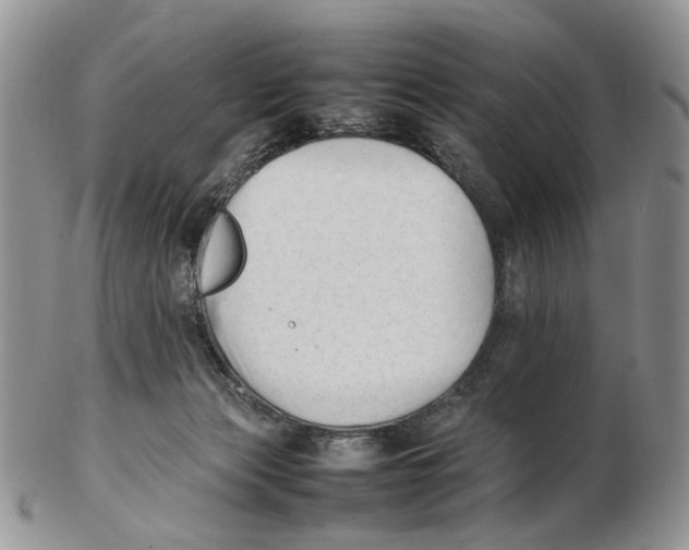 X0000102250173200808221401