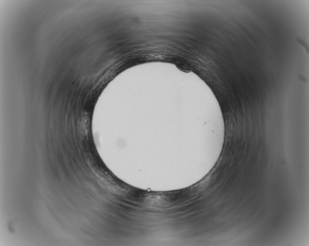 X0000102250174200808221401