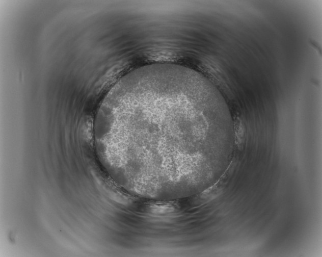 X0000102250175200808221401