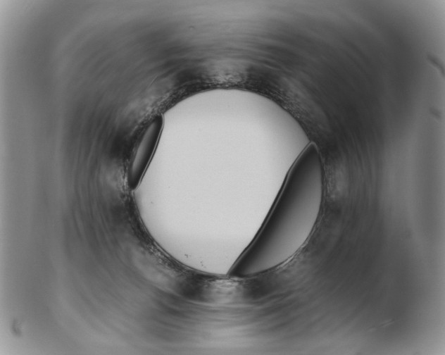 X0000102250176200808221401