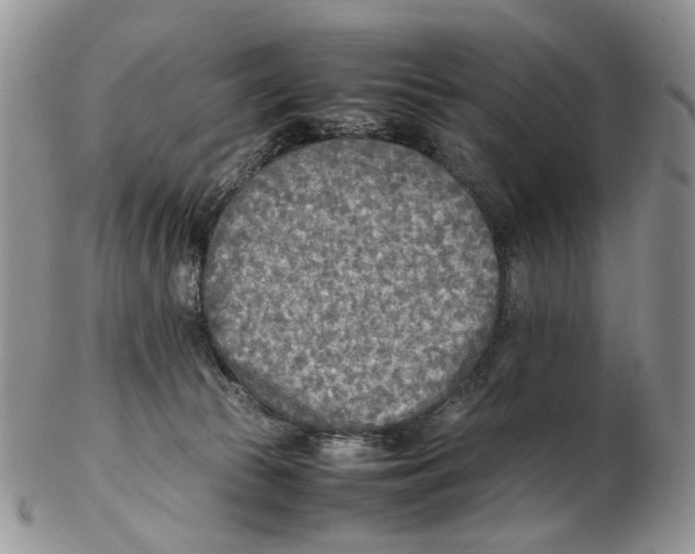 X0000102250177200808221401