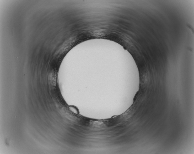 X0000102250180200808221401
