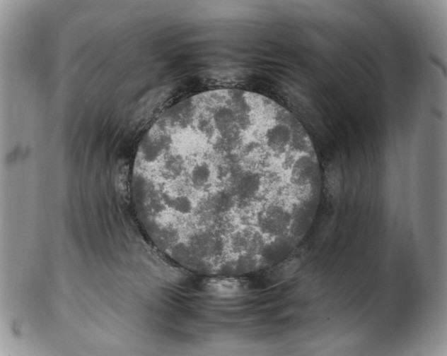 X0000102250181200808221401