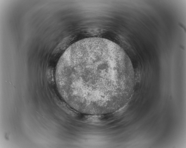 X0000102250182200808221401