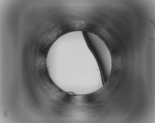 X0000102250184200808221401
