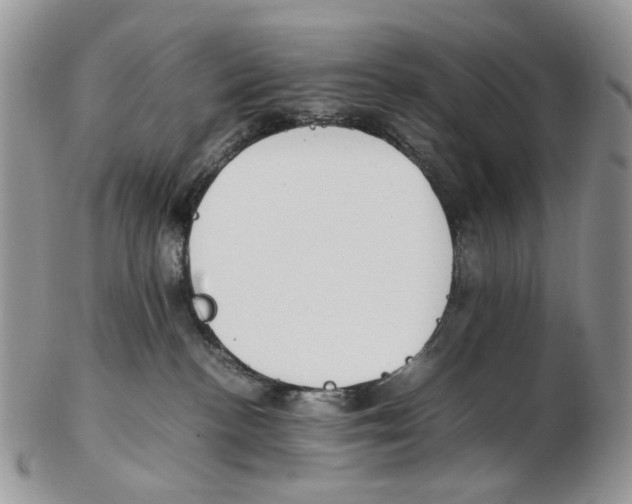 X0000102250188200808221401
