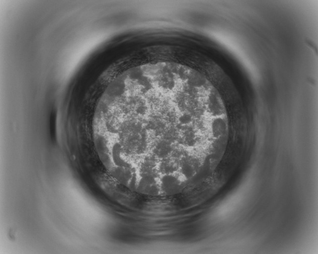 X0000102250189200808221401
