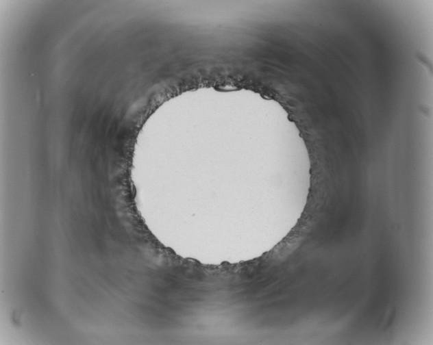 X0000102250192200808221401