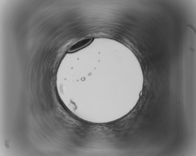 X0000102250193200808221400