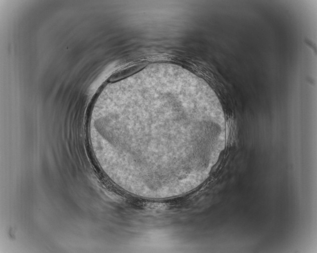 X0000102250195200808221400