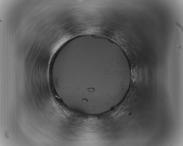 X0000102250196200808221400