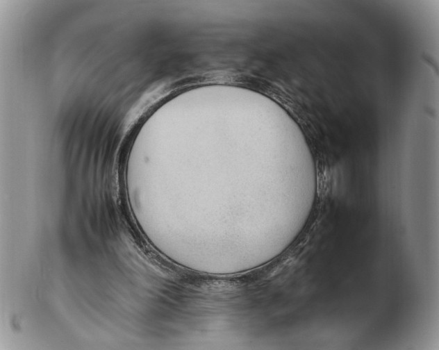 X0000102250198200808221400
