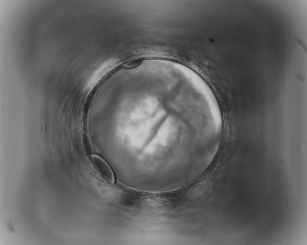 X0000102250199200808221400