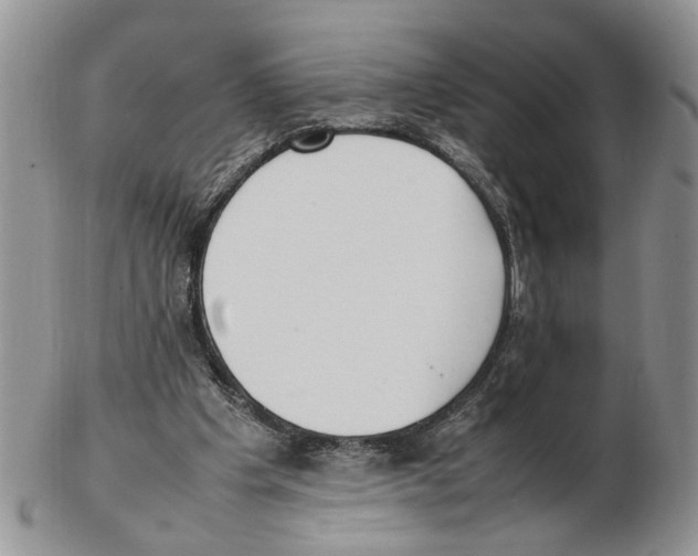 X0000102250201200808221400