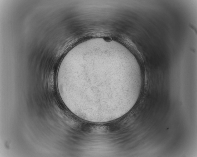 X0000102250202200808221400