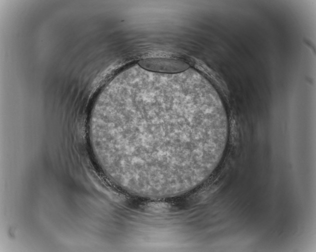 X0000102250203200808221400