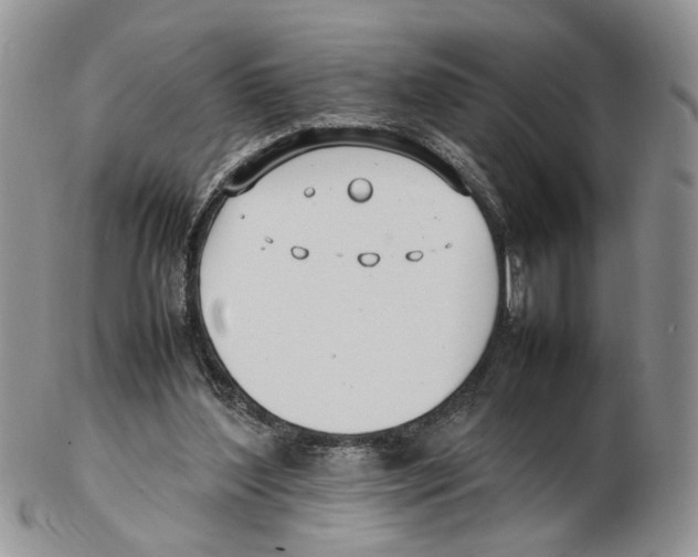 X0000102250204200808221400