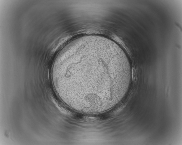 X0000102250205200808221400