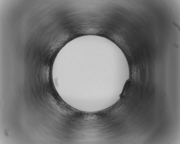 X0000102250206200808221400