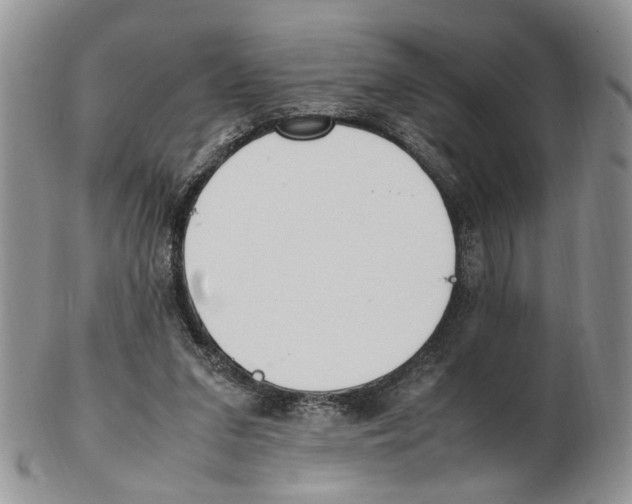 X0000102250207200808221400