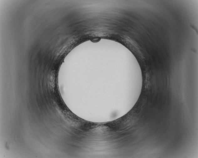 X0000102250210200808221400