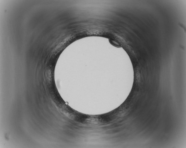 X0000102250211200808221400