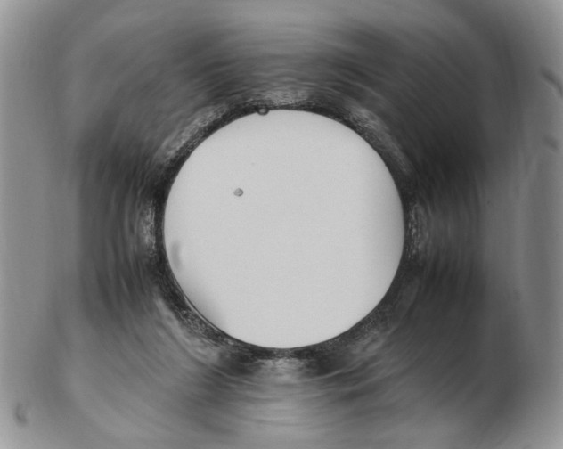 X0000102250212200808221400