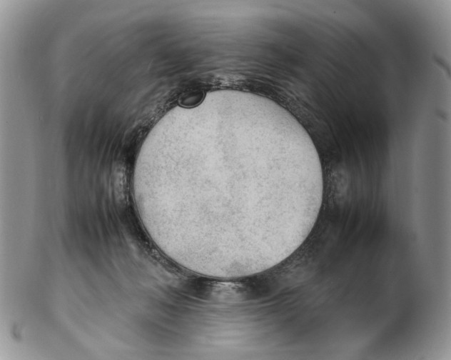 X0000102250222200808221400
