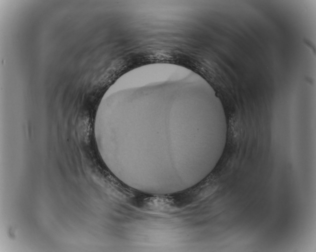 X0000102250223200808221400