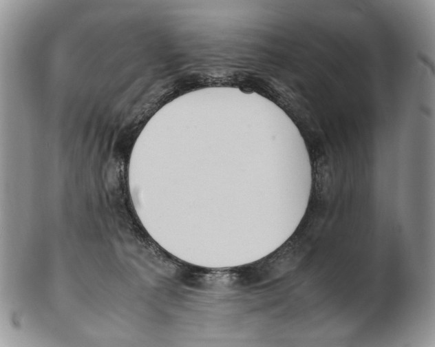 X0000102250225200808221400