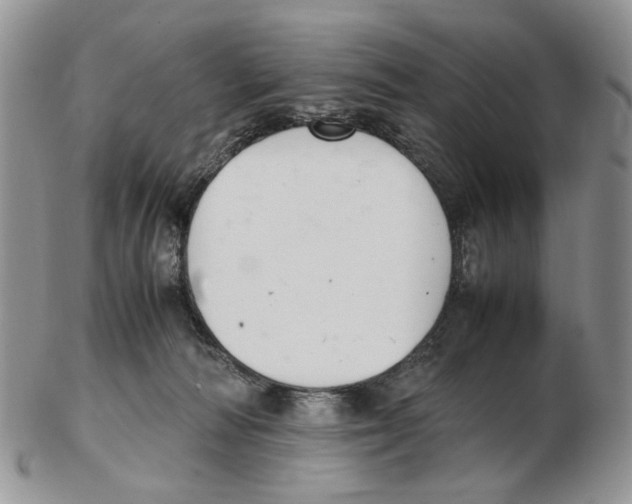 X0000102250226200808221400