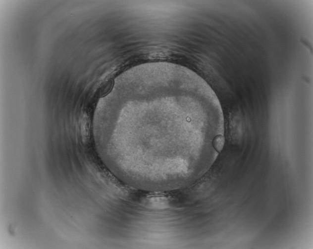 X0000102250228200808221400