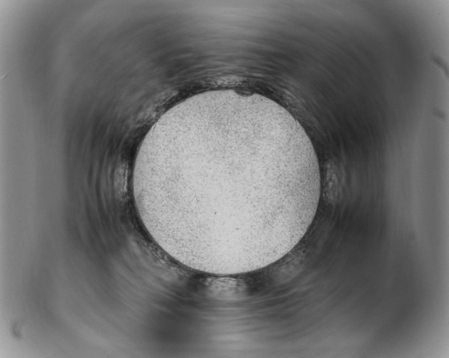 X0000102250230200808221400